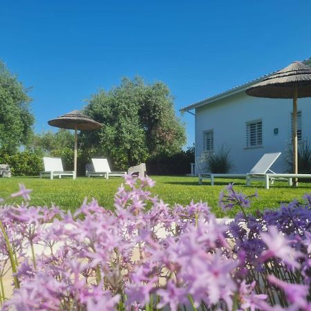La Maison - Boutique Rooms Sperlonga Ngoại thất bức ảnh
