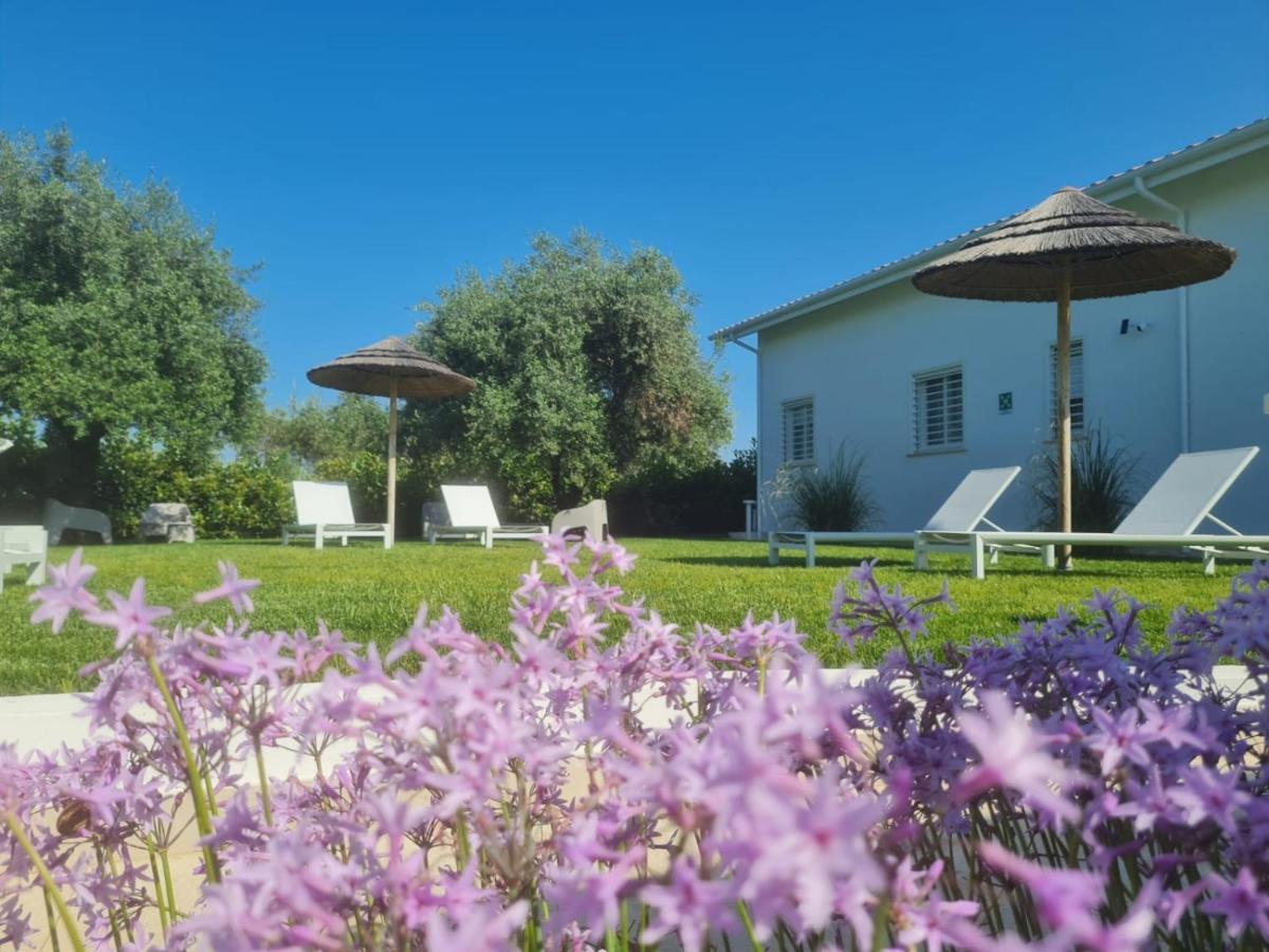 La Maison - Boutique Rooms Sperlonga Ngoại thất bức ảnh